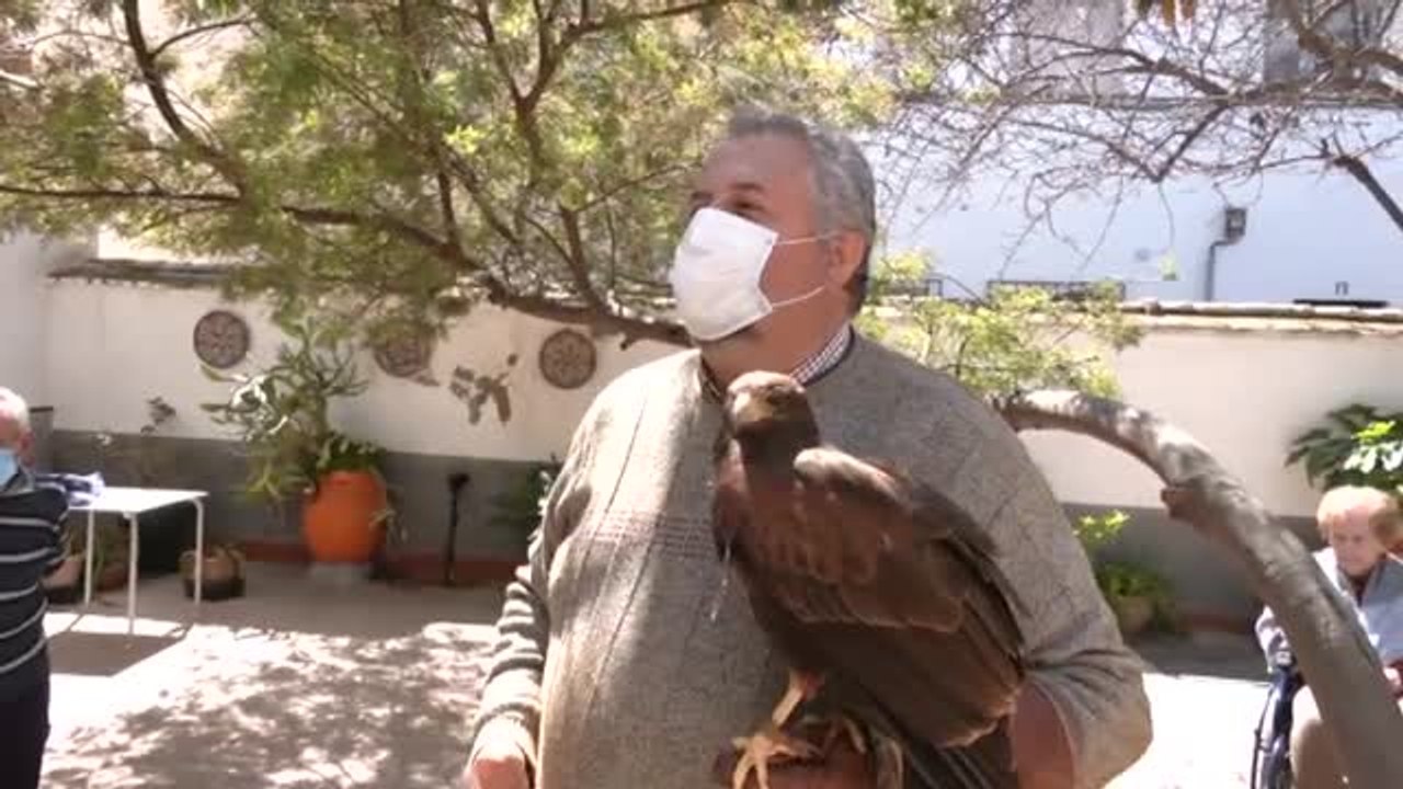 Rapaces para terapia con mayores