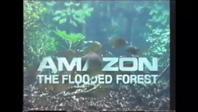Amazon - The Flooded Forest (Part 1 )