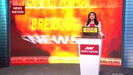 News Nation News: गौ तस्करों ने चलती गाड़ी से फेंका जिंदा गाय को