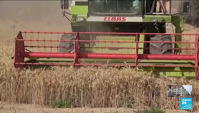 Menacé par la famine, le Yémen redoute l'impact de la guerre en Ukraine