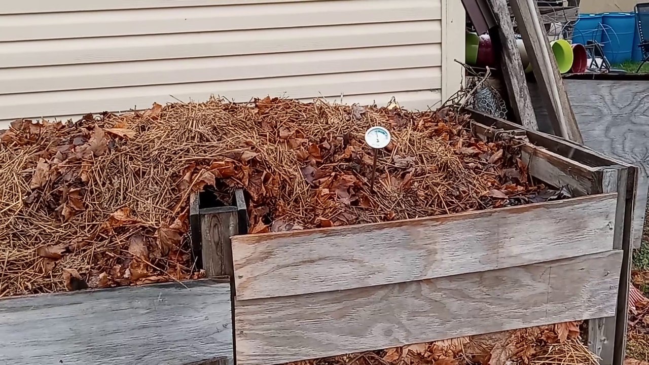 Wild Food Forest - Early Spring Composting & Walking Onion Question