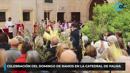 Télécharger la video: Celebración del domingo de Ramos en la Catedral de Palma