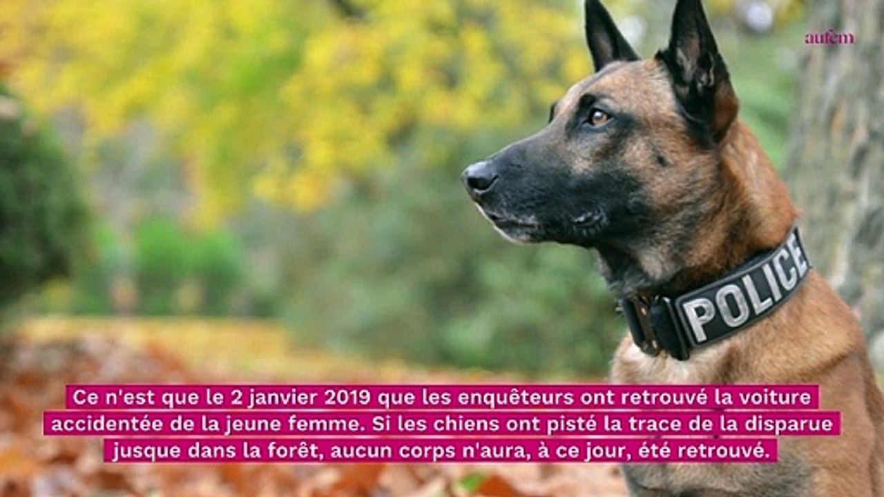 Faits divers : la disparition de Lesline Ravel, cette autre "affaire Jubillar"