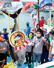 Tayvan'da dev ton balığı rekor fiyata satıldı