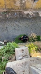 KIRIKKALE'DE DEREYE DÜŞEN ALKOLLÜ KİŞİYİ İTFAİYE KURTARDI