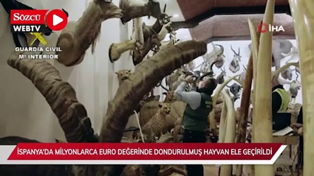 İspanya’da piyasa değeri 29 milyon euro olan binden fazla dondurulmuş hayvan ele geçirildi