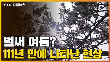 [자막뉴스] 111년 만의 이례적 현상..."4월이 이렇게 더웠나요?" / YTN