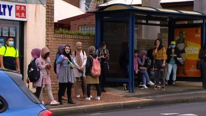 Commuter chaos as Sydney bus drivers go on strike