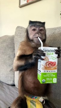 Gaitlyn Rae Sunday! Sundays are for Juice boxes and Mommy loving