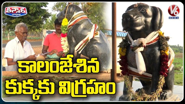 Tamil Nadu Man Spends Rs 80,000 To Build Statue In Memory Of His Dog _ V6 Weekend Teenmaar