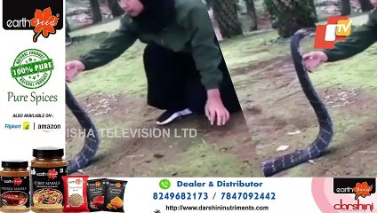 Video Of Girl Kissing A Snake Goes Viral