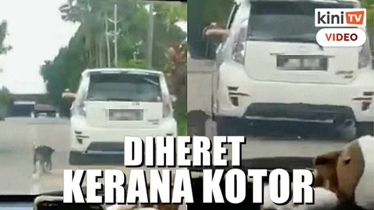 Polis rakam kenyataan wanita, anak tarik anjing dari dalam Myvi