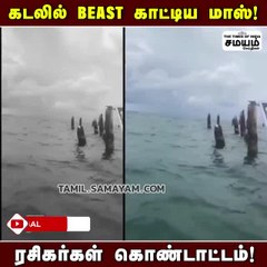 போட்றா BEAST BGM ம்ம; வேற லெவலில் மாஸ் காட்டிய தளபதி ரசிகர்கள்!