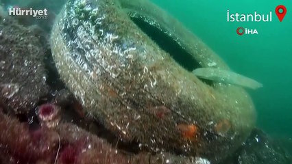 Balıkçı barınağındaki kirlilik su altından görüntülendi