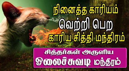 நினைத்த காரியம் வெற்றி பெற  | காரிய சித்தி மந்திரம் | Ninaitha Kariyam Vetri Pera