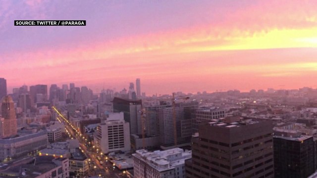 إيلون ماسك يتراجع عن الانضمام إلى مجلس إدارة تويتر