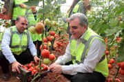 Şanlıurfa'da belediye serası ihtiyaç sahiplerinin yüzünü güldürecek