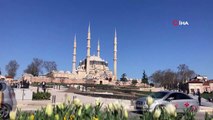 Selimiye Camii’nin silueti bozuldu! Esnaf isyan etti 'Mimar Sinan’ın aklına gelmemiş mi ki şimdi yapılıyor'