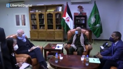 El Frente Polisario rompe relaciones con el Gobierno de Pedro Sánchez