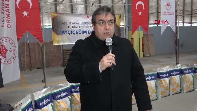 ÇANAKKALE'DE ÜRETİCİLERE YÜZDE 50 DEVLET KATKILI AYÇİÇEĞİ TOHUMU
