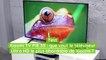 Test Xiaomi TV P1E 55 : que vaut le téléviseur Ultra HD le plus abordable de Xiaomi ?