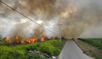 Antalya'da yanan sazlık itfaiye tarafından 1 saatte söndürüldü