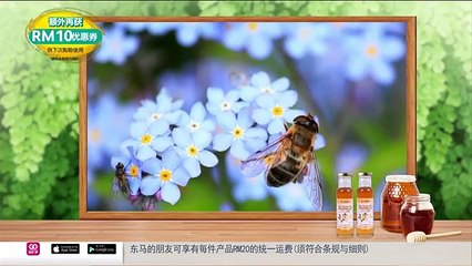 [HF] Biogreen Raw Honey with Propolis