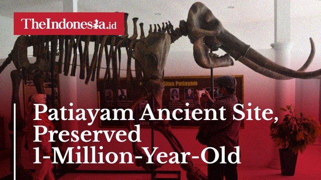 Patiayam Ancient Site, Preserved 1-Million-Year-Old Fossils!