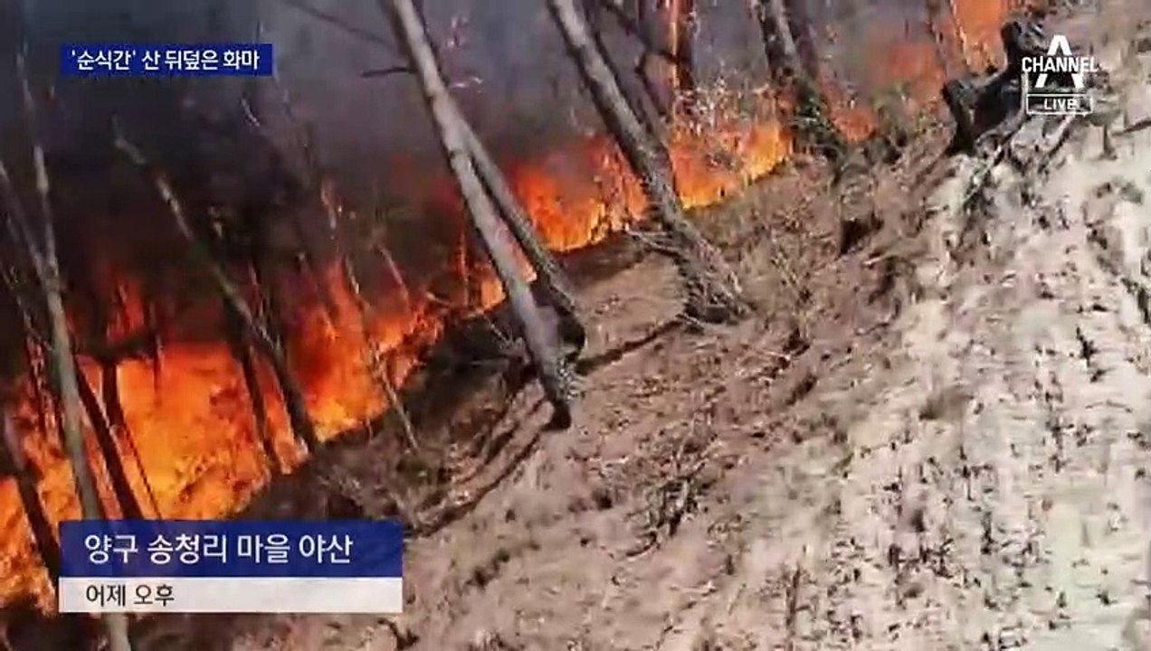 쓰레기·낙엽 태우다 불꽃…양구 산불 최초 발화 순간