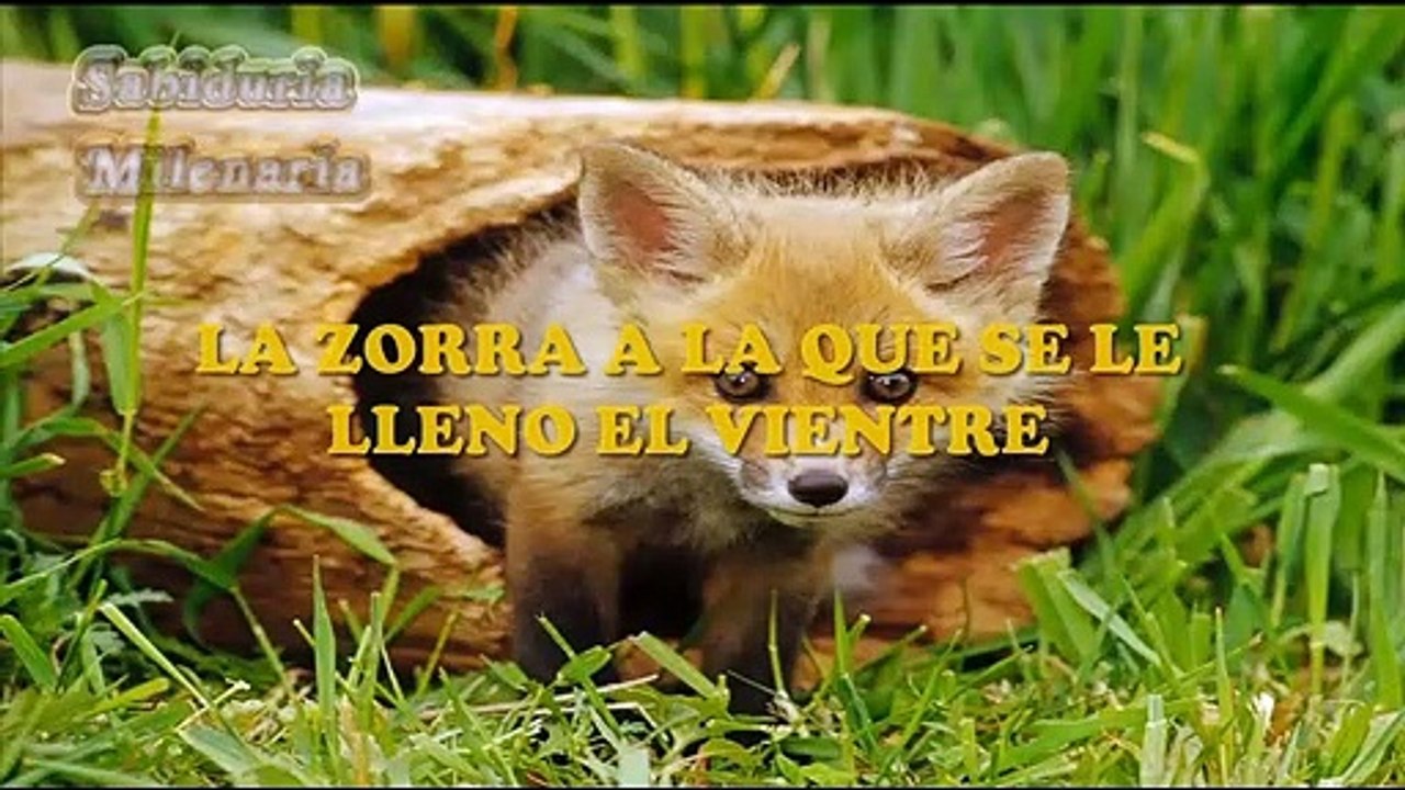 LA ZORRA A LA QUE SE LE LLENÓ EL VIENTRE