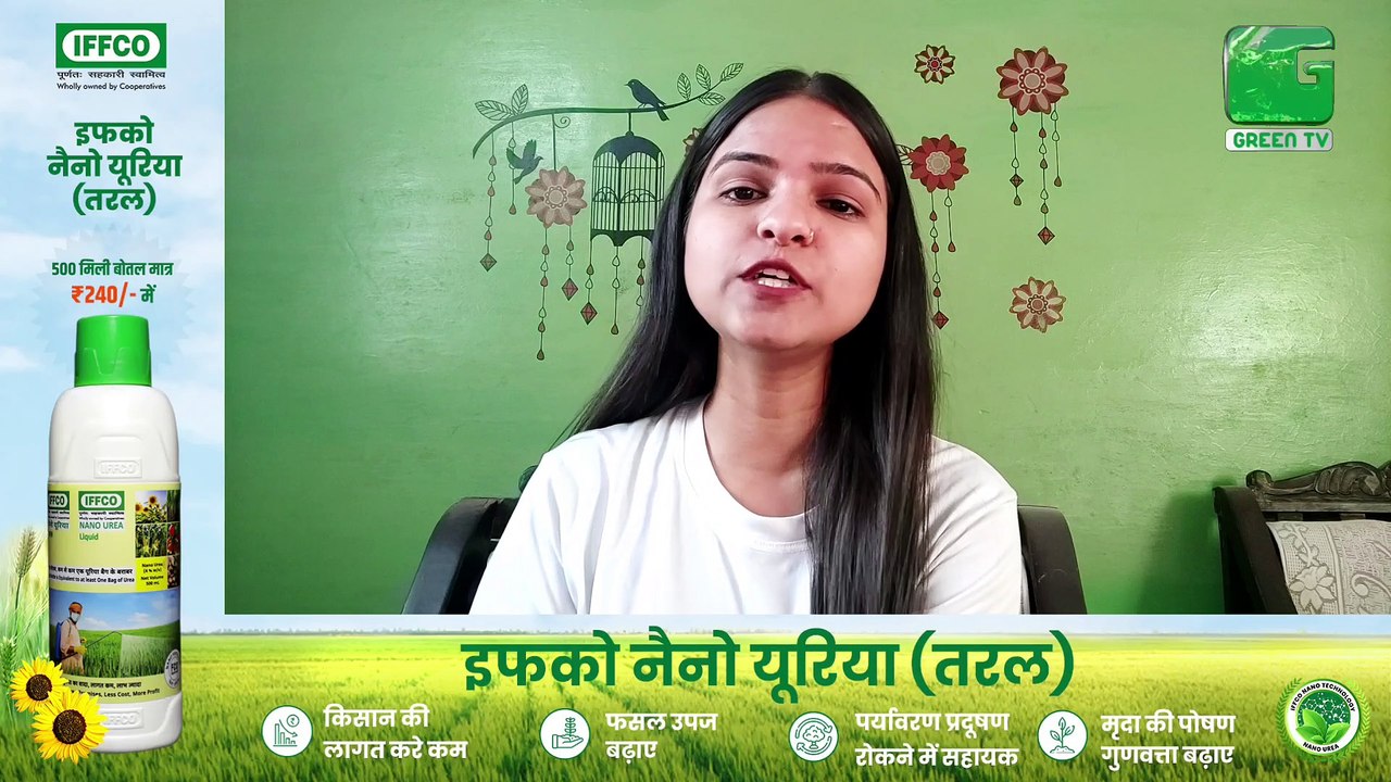 Agri News Bulletin - कृषि वैज्ञानिकों ने दी पूरी जानकारी, किसान इस तरह करें रबी फसलों का भंडारण | Kisan Bulletin On Green TV