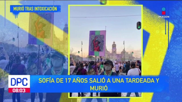 Sofía, de 17 años, salió a un bar pero ya no regresó