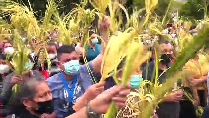¡Fe y Tradición! Así se vivió el Domingo de Ramos en Honduras