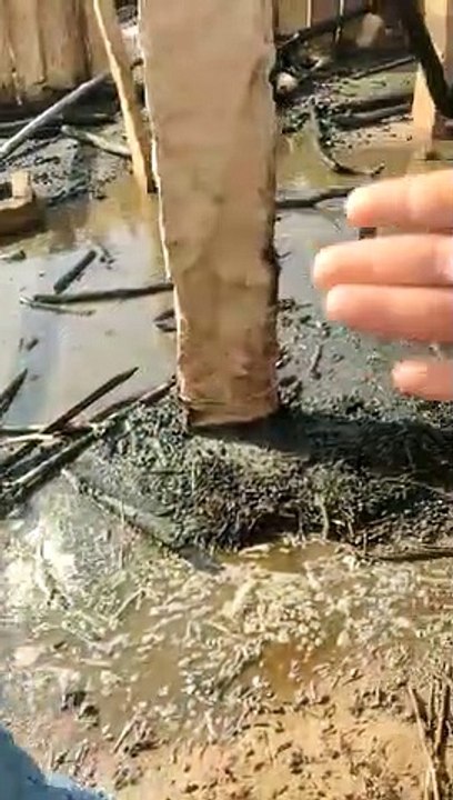 Fire news - 15 goats burnt alive due to fire, eight scorched