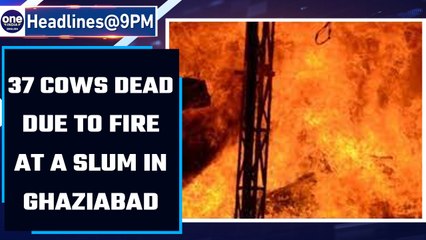 Fire at Ghaziabad slum spreads to cowshed, atleast 37 cows dead | Oneindia News