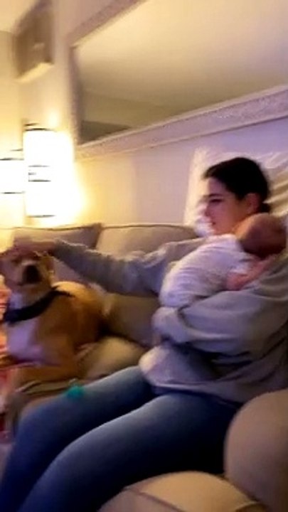 Pup Patiently Waits for Head Pats From Mom