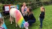 Claire is the owner of Wish Upon A Pony and here she talks about her new business venture with Henny the Unicorn