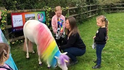 Claire is the owner of Wish Upon A Pony and here she talks about her new business venture with Henny the Unicorn