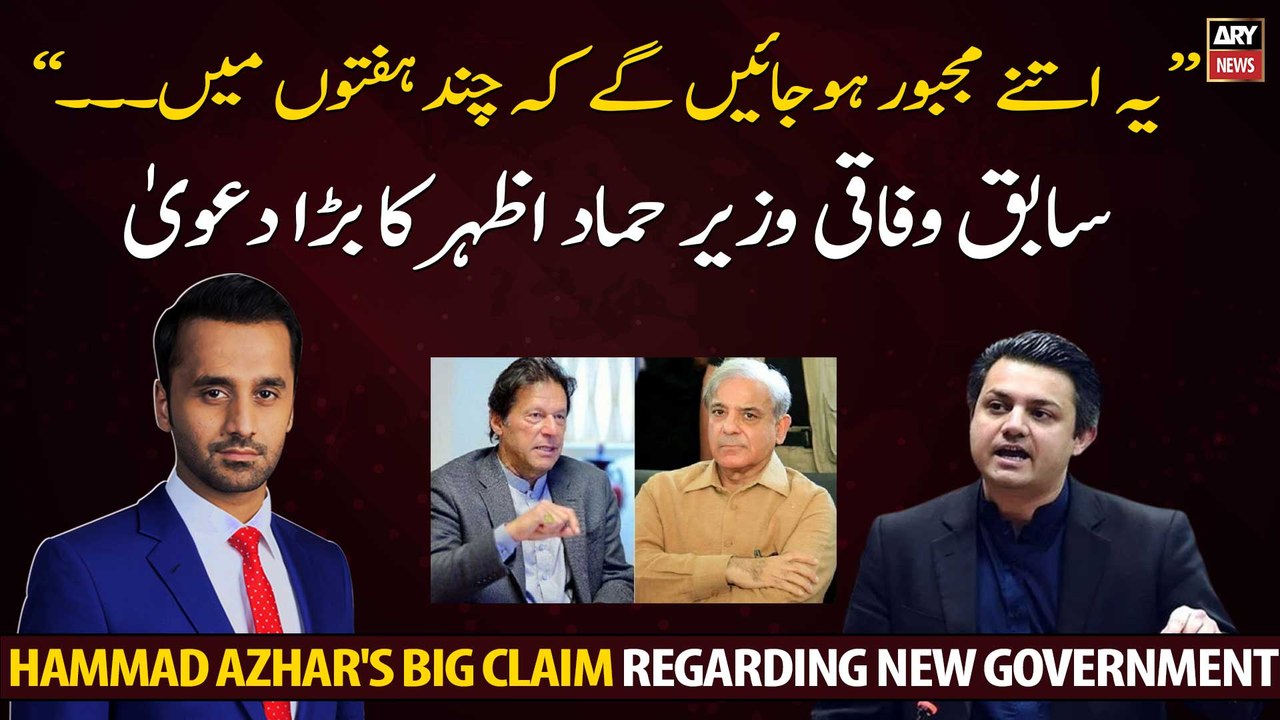 Hammad Azhar's big claim regarding the new government...