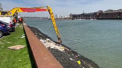 The HE Services digger clearing the rubbish from the bank of the River Medway