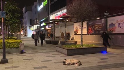 Zonguldak Ereğli merkezli depremin hissedildiği İstanbul'da olumsuz bir durum yaşanmadı