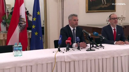 El canciller de Austria tras su reunión con Putin: "La conversación fue muy directa, franca y dura"