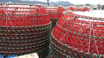 11 avril TOPO ER retard peche crabe