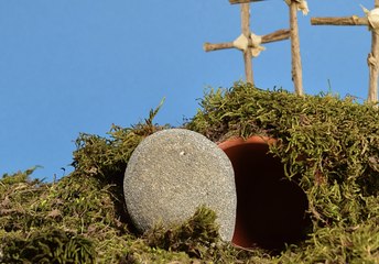 Zrób z nami ogród Wielkanocny. Instrukcja