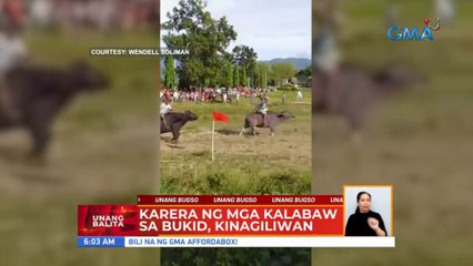 Karera ng mga kalabaw sa bukid, kinagiliwan | UB