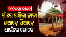 Elephant Strays Into Baripada Village, School Children Escape Safely