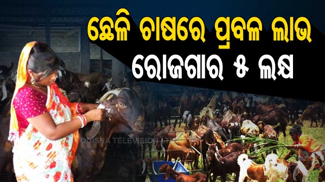 Luck has changed goat farming, earning Rs 5 lakh