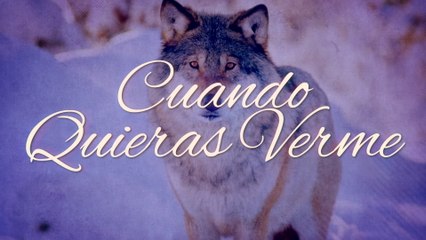 Los Temerarios - Cuando Quieras Verme