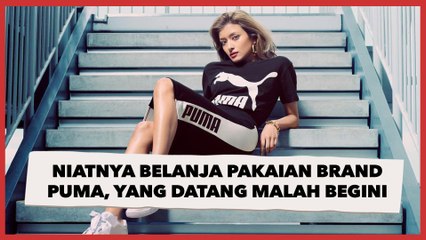 Niatnya Belanja Pakaian Brand Puma, yang Datang Malah Begini: Macannya Berubah Jadi Babi