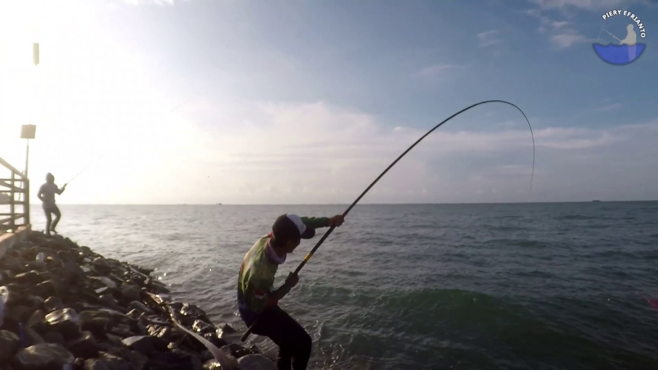 Mancing Ikan Baronang Pakai Umpan Lumut